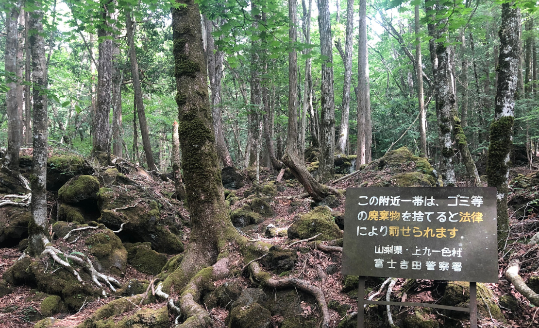 Sign At Aokigahara Forest The Mysterious Sea of Trees in Japan