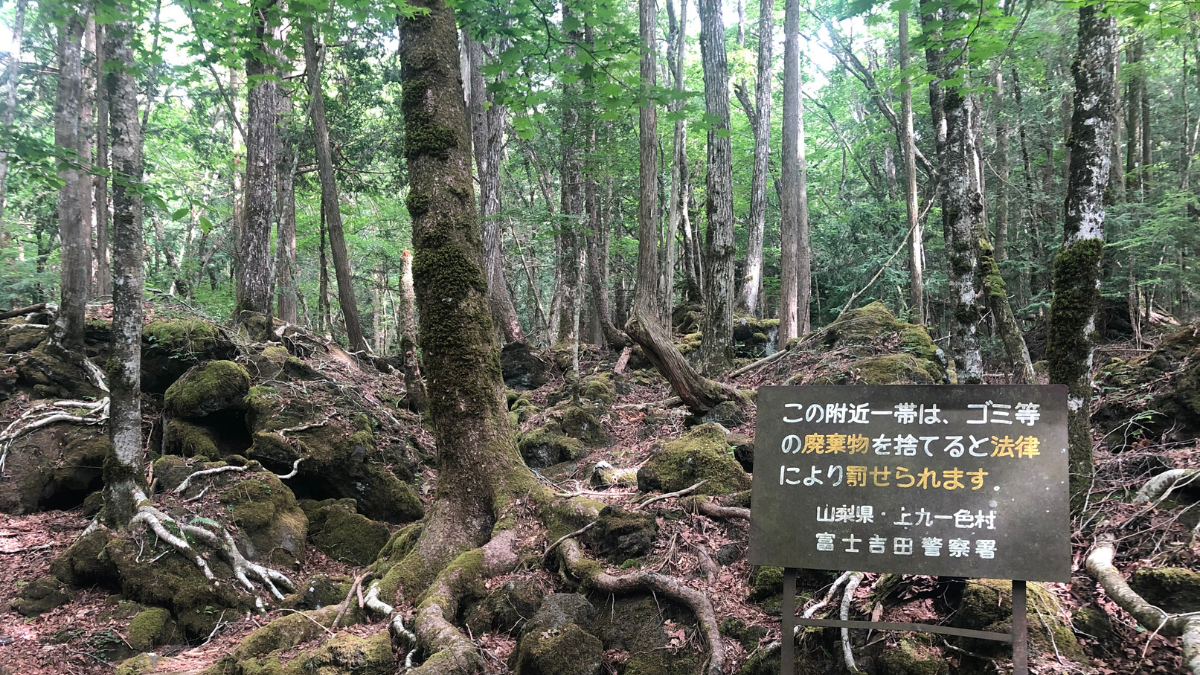 Sign At Aokigahara Forest The Mysterious Sea of Trees in Japan